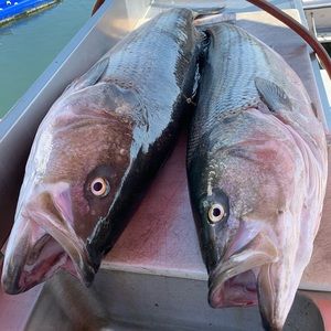 Meet your Posher, Richard